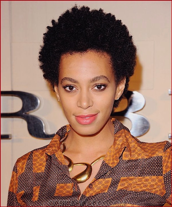 20 deslumbrantes peinados afro rizados cortos para mujeres