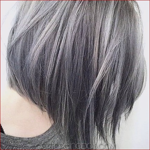 52 lujosas ideas para el cabello gris que te encantarán