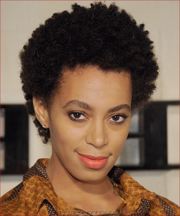 36 peinados afroamericanos para una apariencia hermosa
