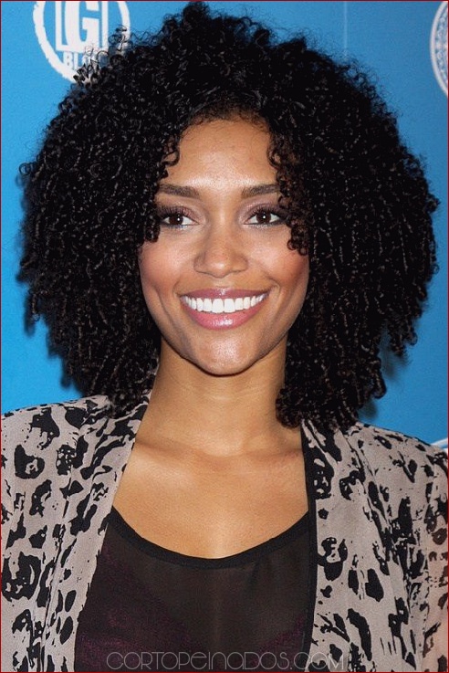 36 peinados afroamericanos para una apariencia hermosa