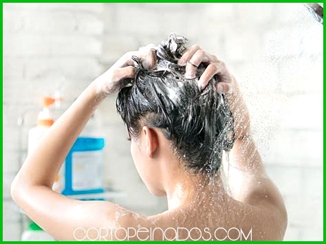 Cómo cuidar el cabello largo en climas húmedos