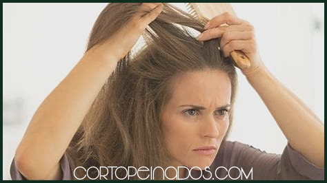 Consejos de estilismo para lucir el cabello largo