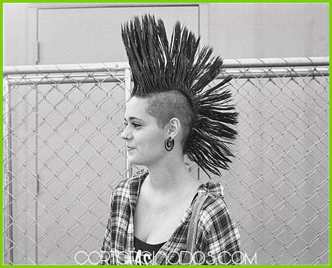 El peinado Mohawk como expresión de individualidad y estilo personal