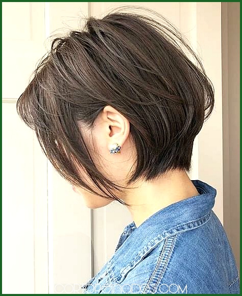 Peinados de moda para cabello corto 2024