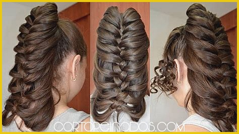 Peinados de Trenza con Pelo Suelto: Estilo Desenfadado