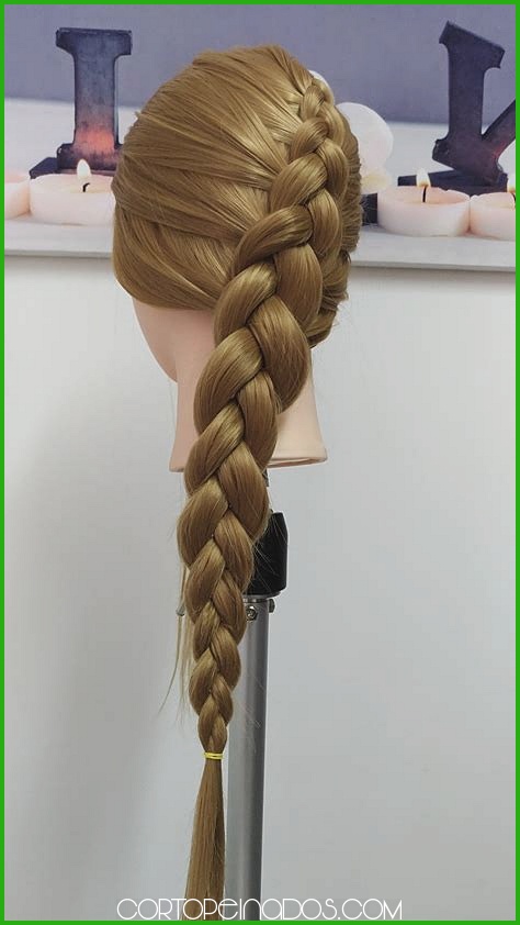 Peinados de Trenza para Verano: Frescos y Estilosos