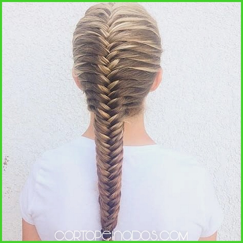 Peinados de Trenza para Verano: Frescos y Estilosos