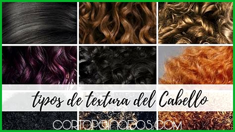 Peinados populares para cabello fino