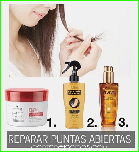 Productos recomendados para cabello largo