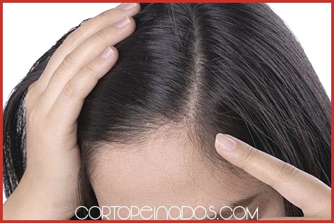 Productos recomendados para cabello largo