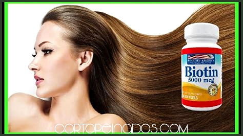 Productos recomendados para cabello largo