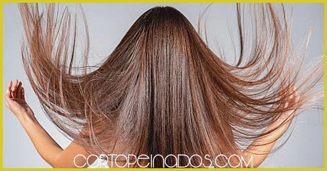 Productos recomendados para cabello largo