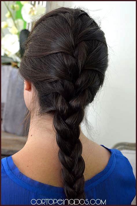 Trenzas de Lado para Eventos Formales: Elegancia en cada Paso